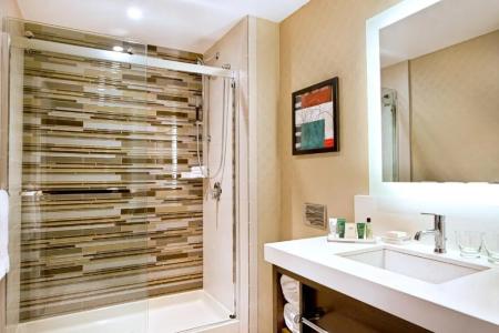 Hilton Boston Downtown/Faneuil Hall - 55