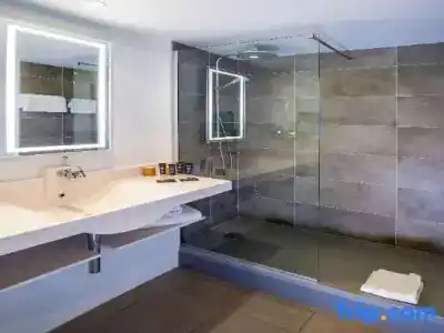 Novotel Toulouse Centre Compans Caffarelli - 66