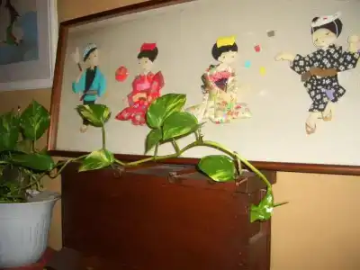Tomitaya Ryokan Bekkan - 7