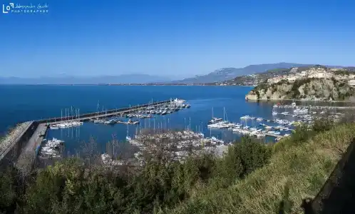 Il Ceppo - 25