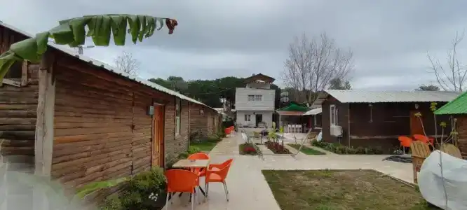 Lime Tree Houses - 29