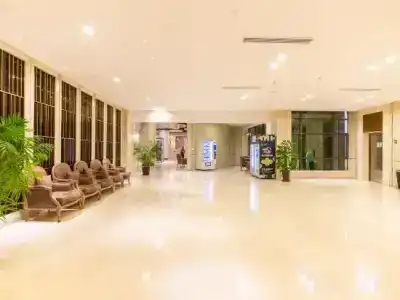 Linzhen - 1