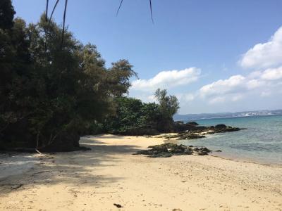Shirahama - 36