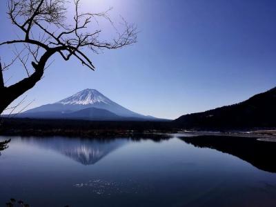 Shoji Mount - 33