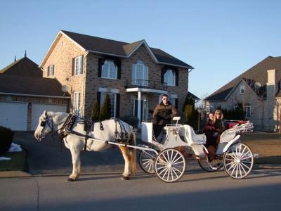 In Elegance - 15