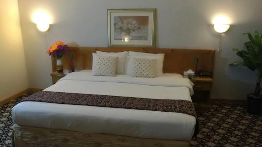 Phoenicia Tower - 71