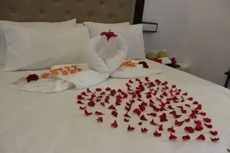 Thoddoo Inn - 8