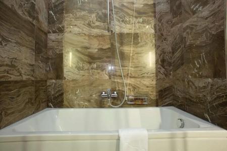 Best Western Premier Ark - 82