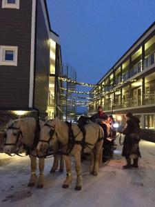Ustedalen Geilo - 24