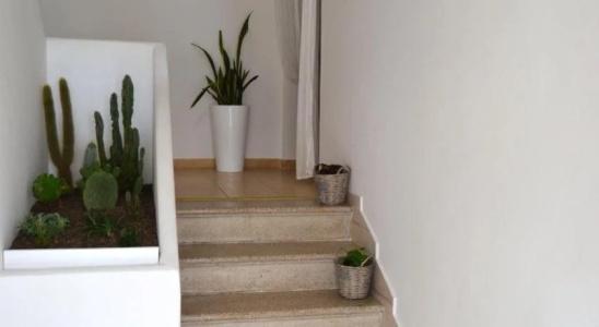 Apulia Bed&Breakfast - 10