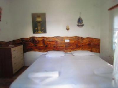 Amazon Antique - 23