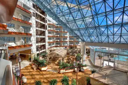 DoubleTree by Hilton Orlando Airport - 23