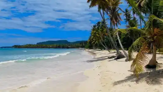 Paradiso del Caribe - 195
