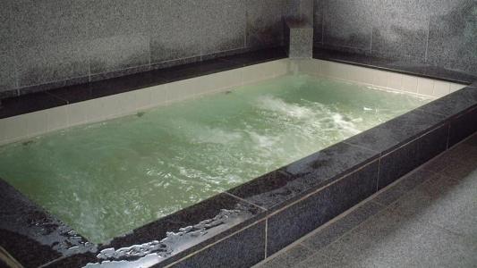 Tokiwa Ryokan - 10