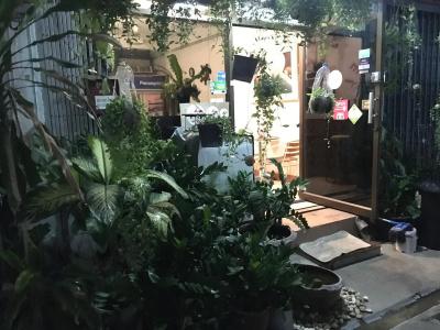 Hostel 24 - 32