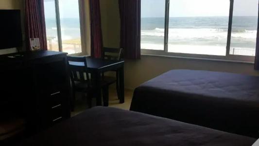 Driftwood Beach - 133