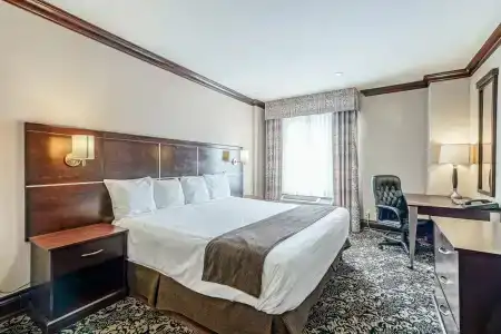 Woodbine & Suites - 8