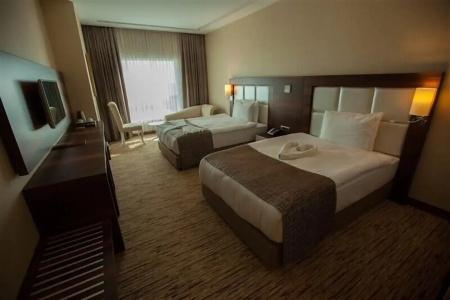 Mitannia Regency - 22
