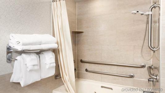 Holiday Inn & Suites, An Ihg - 10