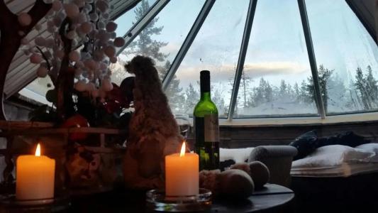 Wilderness & Igloos Inari - 38