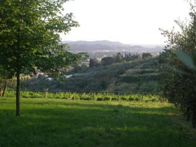 Agriturismo Biologico Poggiopiano - 39