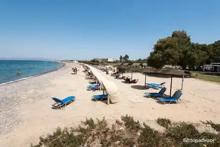 Kipriotis Hippocrates - Adults Only - 25