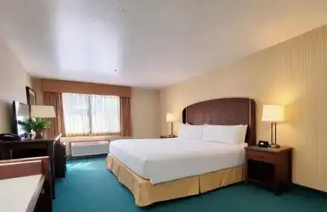 Rogue Regency Inn & Suites - 49
