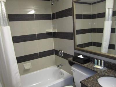 Comfort Suites Downtown - 8