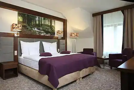 Mercure Krynica Zdrój Resort&Spa - 48
