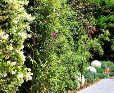 Apartaments B-Llobet Sun & Confort - 27
