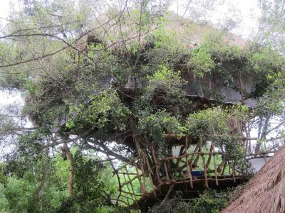 Saraii Village - 17