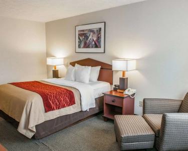 Comfort Inn Indianapolis South I-65 - 5