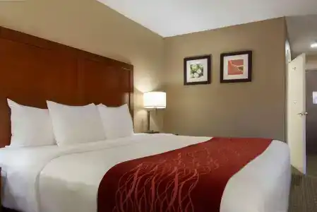 Comfort Inn Santa Fe - 37