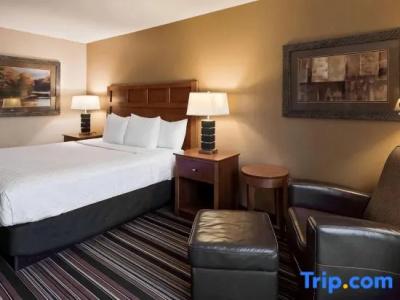 Best Western Plus - 74