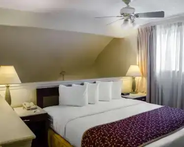 SureStay Studio by Best Western - 53