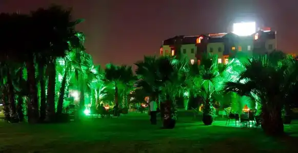 Royal Atlantis Beach - 42