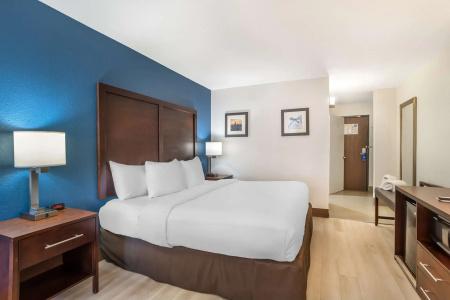 Comfort Inn Charlotte Airport Uptown - 59