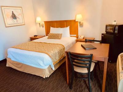 St. George Inn and Suites - 64