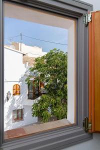 Boutique La Serena - 19