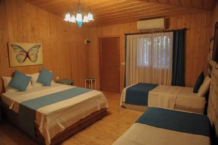 Alaçatı Kiyikiyi Butik Otel - 52