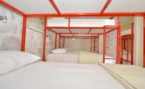 Hostel Pupa - 3