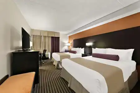 Best Western Plus North York & Suites - 5