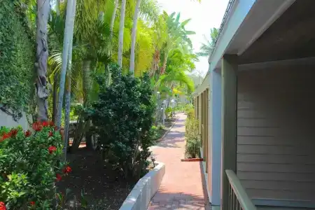 Coconut Mallory and Marina - 164