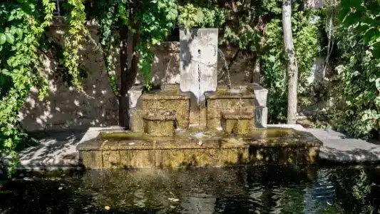 Villa Andromeda - 8