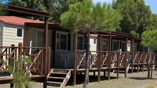 New Camping Le Tamerici - 19