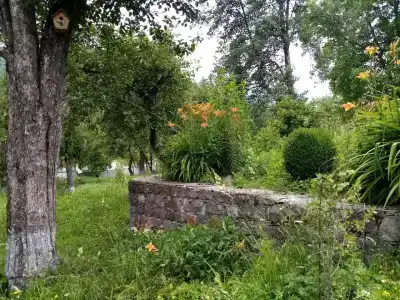 Звиад1 - 4