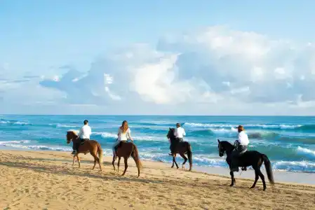 Excellence El Carmen - Adults Only All Inclusive - 24