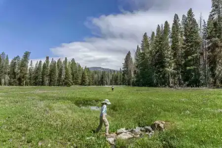 Holiday Inn Express & Suites-Yosemite Park Area, an IHG - 17