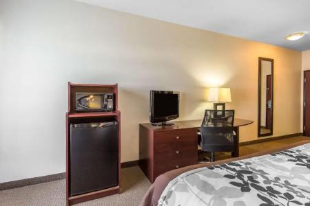 Sleep Inn & Suites Bush Intercontinental - IAH East - 50
