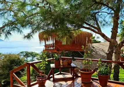 La Boheme Kabak - 23